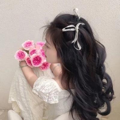 哈莉·奎茵第四季